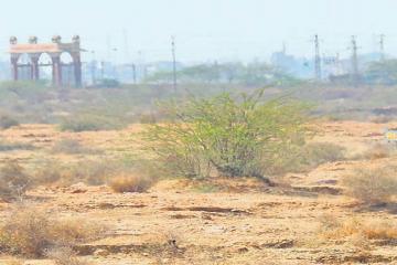 भास्कर ने भ्रष्टाचार उजागर किया तो पीड़ित का पट्‌टा रातोंरात निरस्त