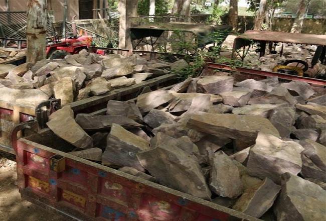 लाडपुरा में फॉरेस्ट विभाग ने की कार्रवाई, 15 अवैध ट्रैक्टर-ट्रॉली जब्त
