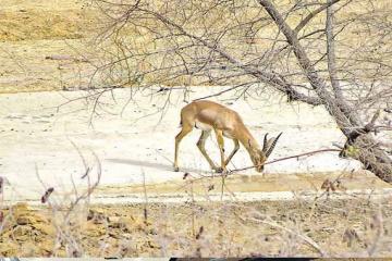 24 दिन से पड़े हैं साढ़े सात लाख रुपए, 30 जून तक काम नहीं आए तो लाैटाने होंगे
