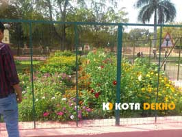 Chambal Garden Koa