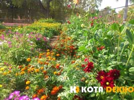 Chambal Garden Kota