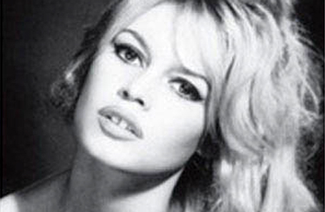 Bardot bid to spare savage dog stirs row