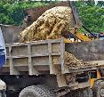 Drop a rotten straw out of CEO office
