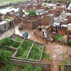 Remove debris from pool house including 5 day Anantpura