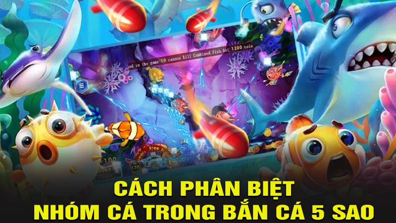 Cách phân biệt nhóm cá trong bắn cá 5 sao